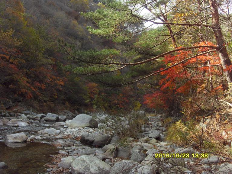 2010남설악 107.jpg