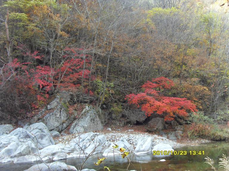 2010남설악 109.jpg