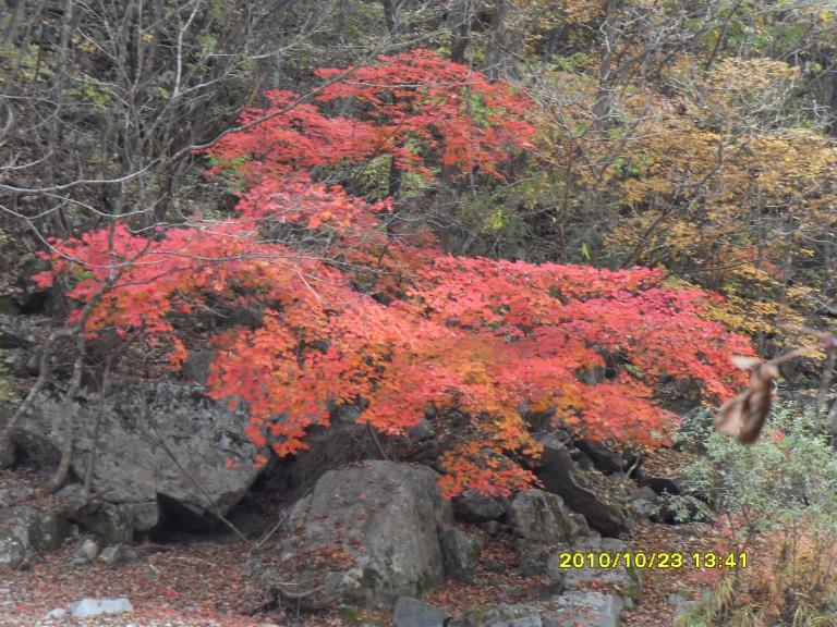2010남설악 111.jpg