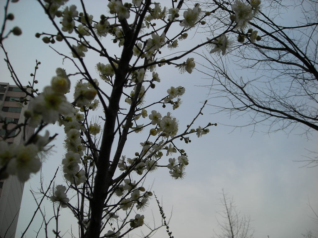 DSCN0424.JPG