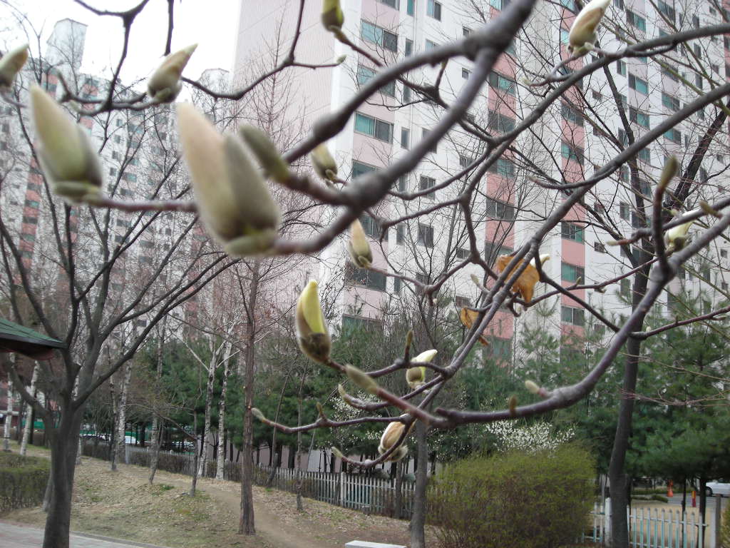 DSCN0428.JPG