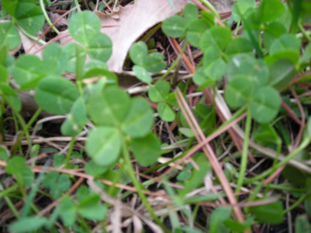 DSCN0430.JPG