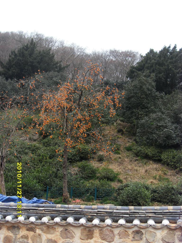 남도여행 051.jpg
