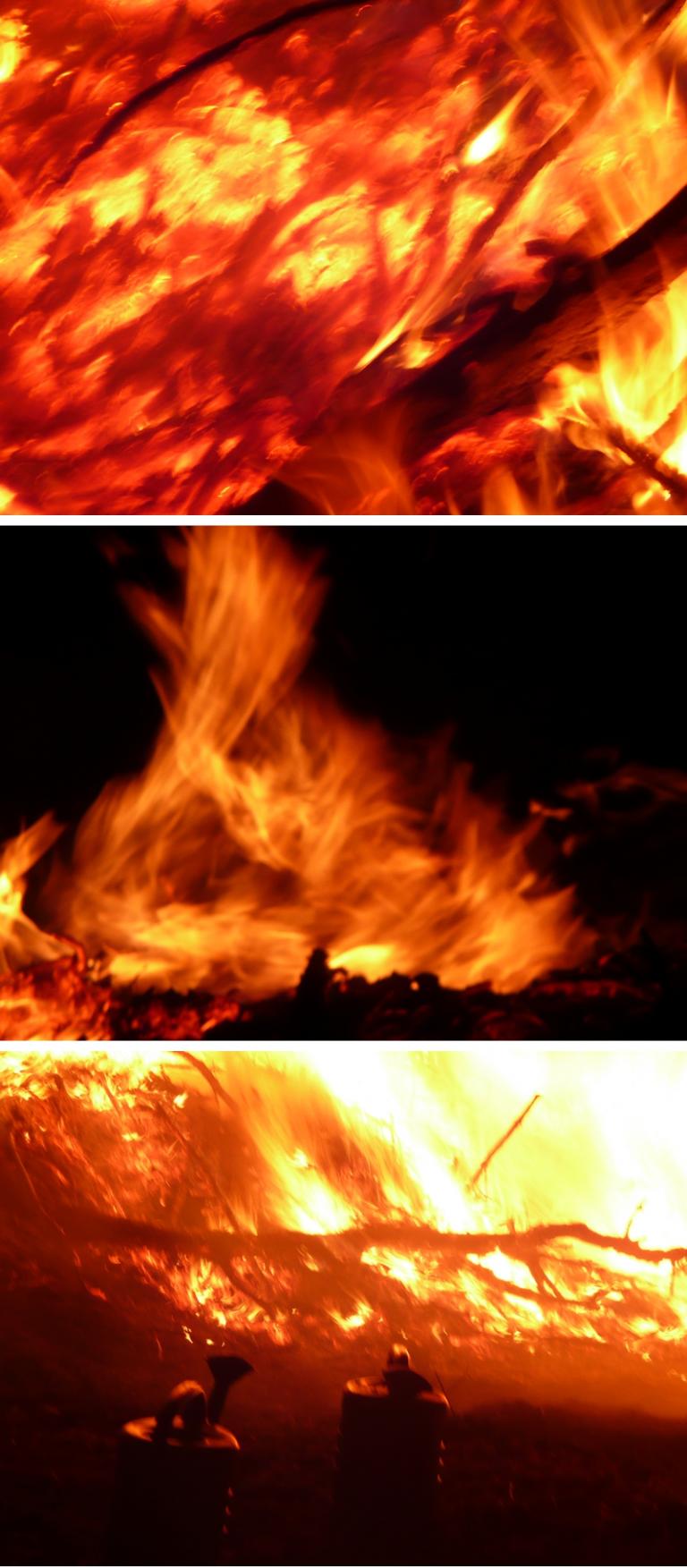 P1280579-vert Feuer.jpg