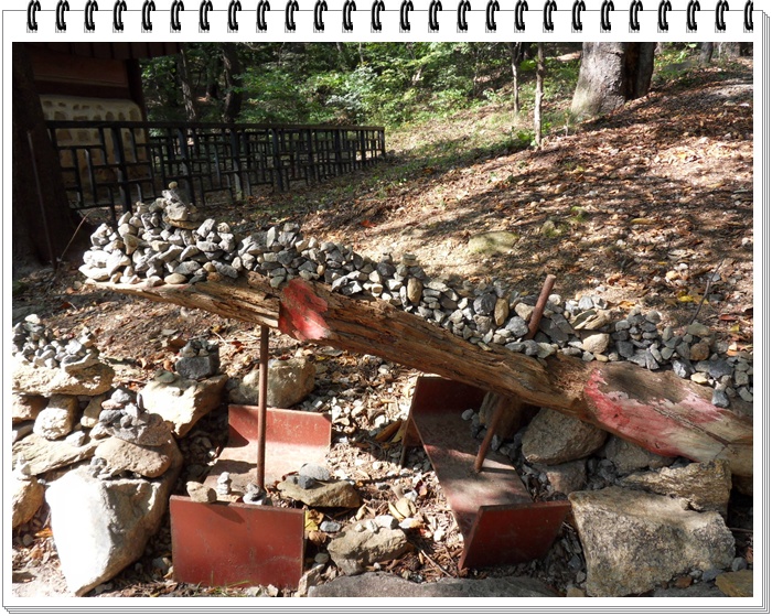 SDC10657.JPG