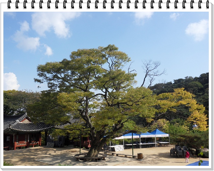 SDC10677.JPG