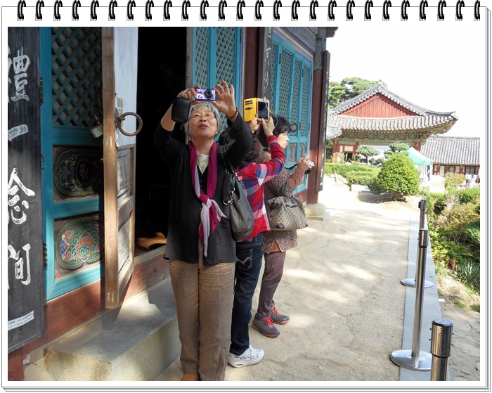 SDC10682.JPG
