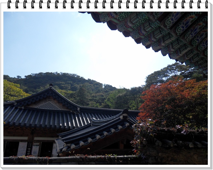SDC10685.JPG