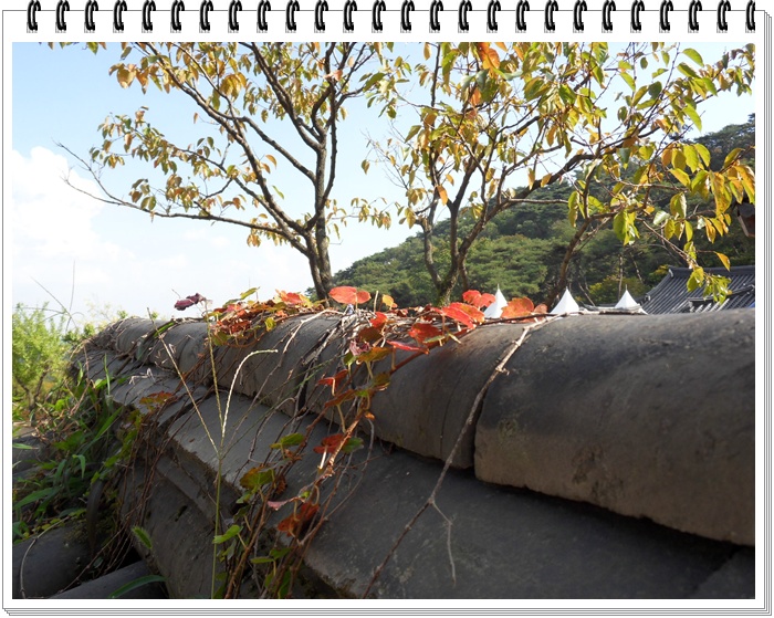 SDC10691.JPG