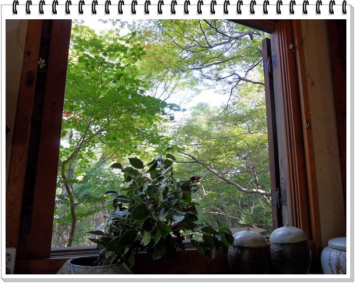 SDC10720.JPG