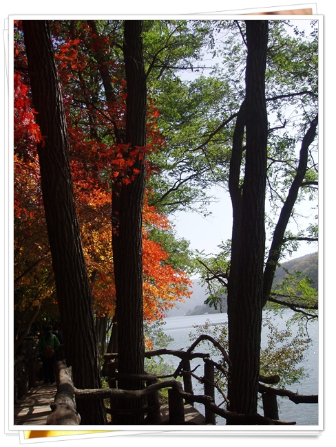 PA200109.JPG