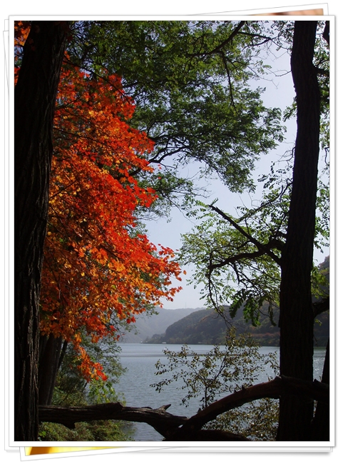 PA200110.JPG