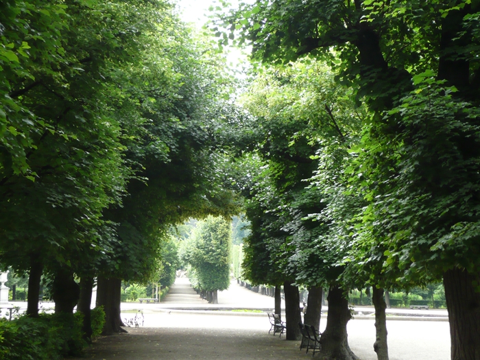P1170500.jpg