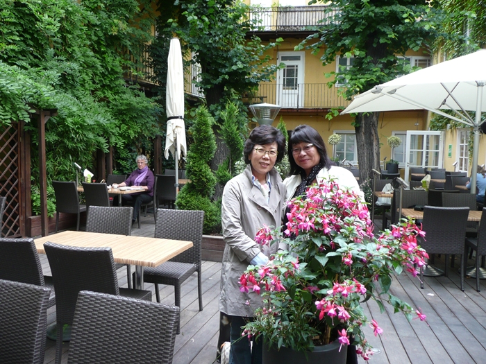 P1170577.jpg