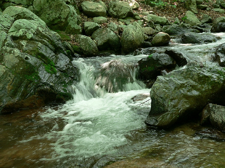 P1020402_1.jpg