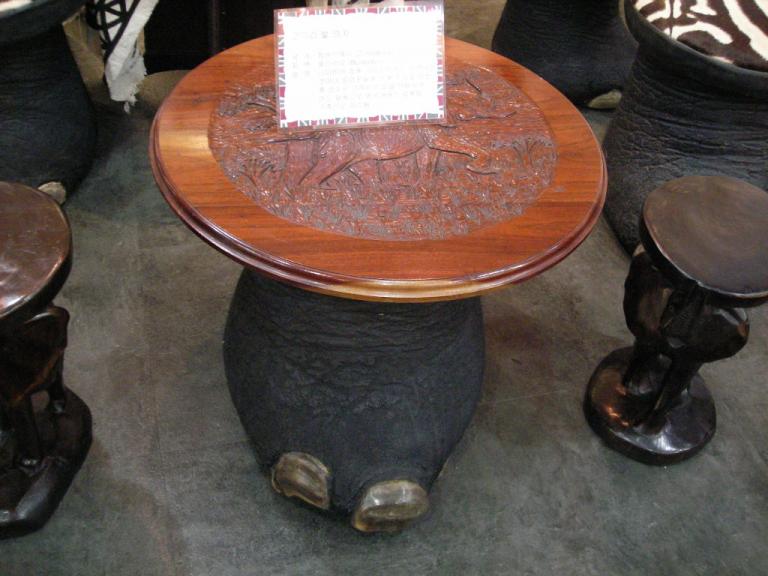 DSCN2267.JPG