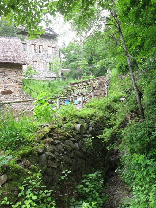 IMG_6923.JPG
