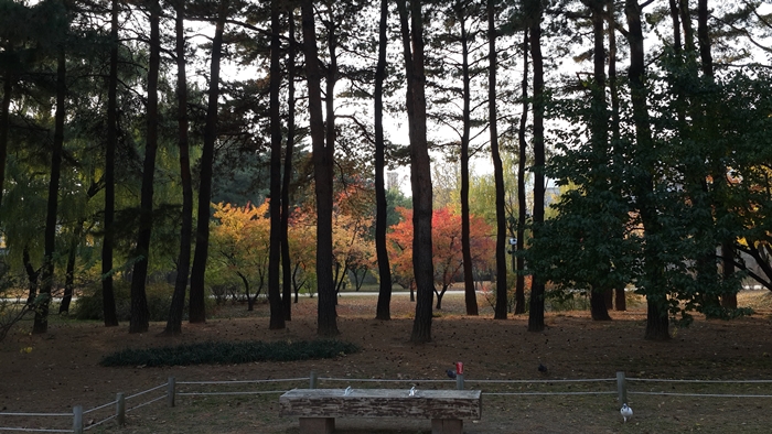 20141106_1540061411제주도.jpg