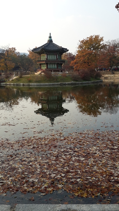 20141106_1604041411제주도.jpg