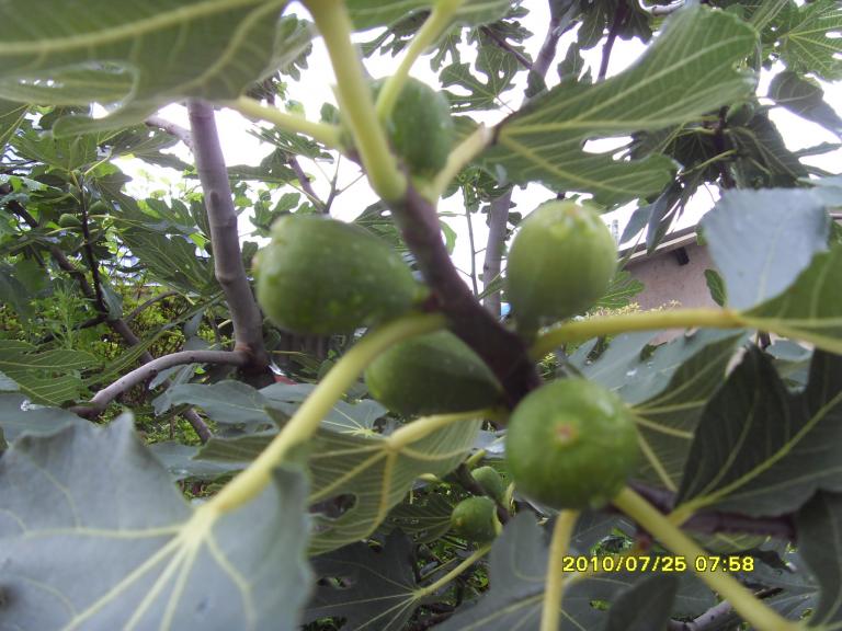 SDC13379.JPG