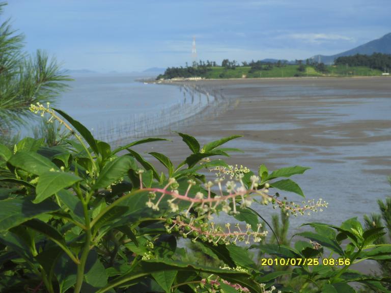 SDC13384.JPG