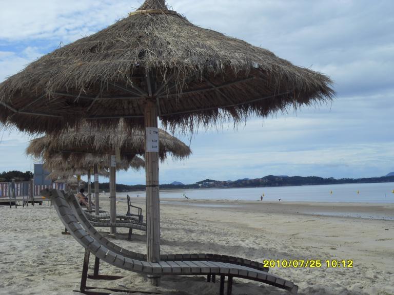 SDC13428.JPG