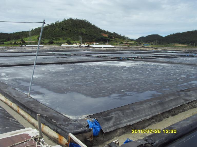 SDC13459.JPG
