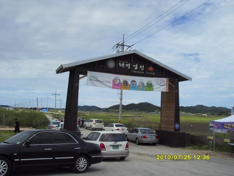 SDC13465.JPG