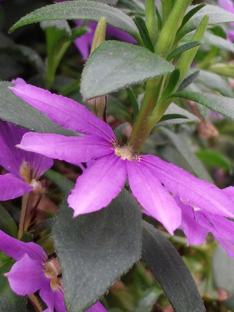CAM01141.jpg
