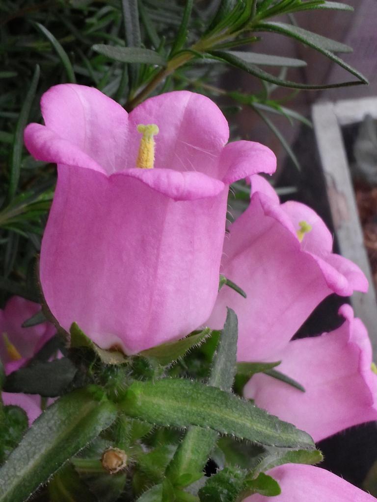 CAM01162.jpg