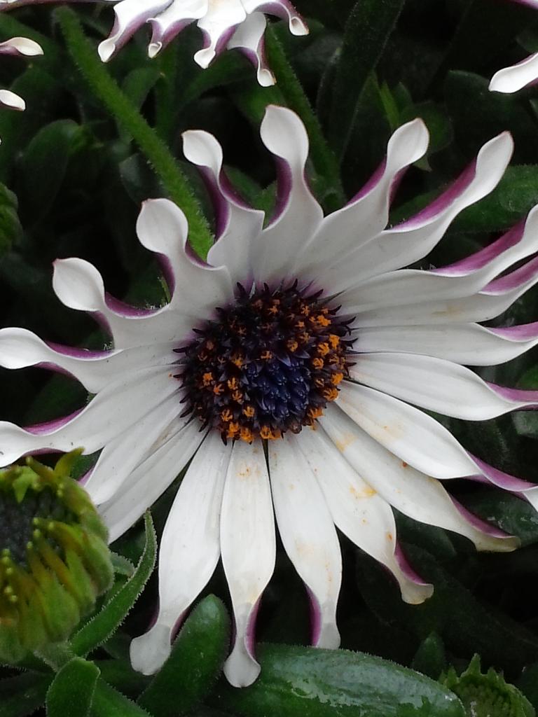 CAM01176.jpg