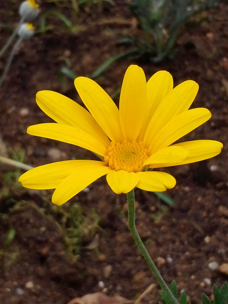 CAM01179.jpg