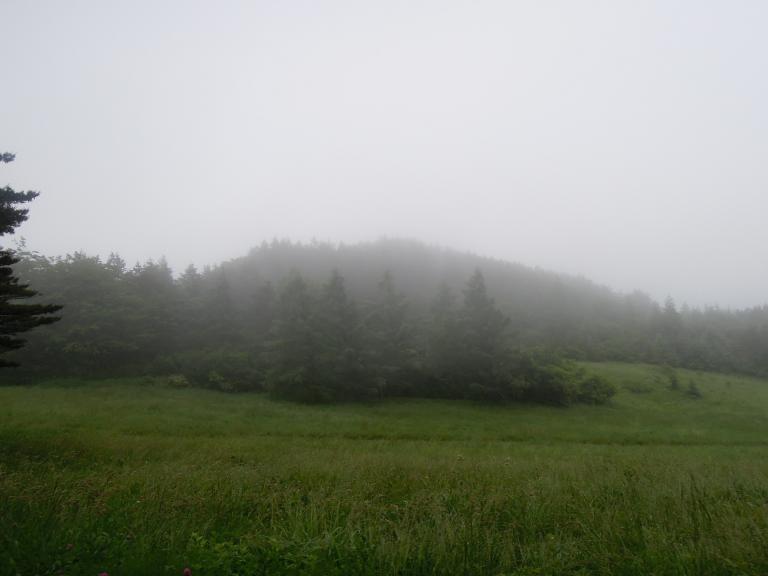 DSCN2026.JPG
