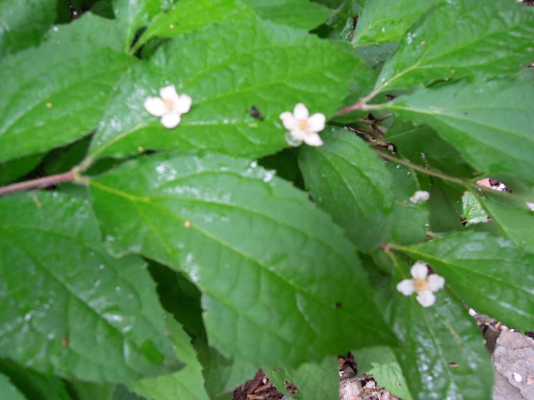 DSCN2028.JPG