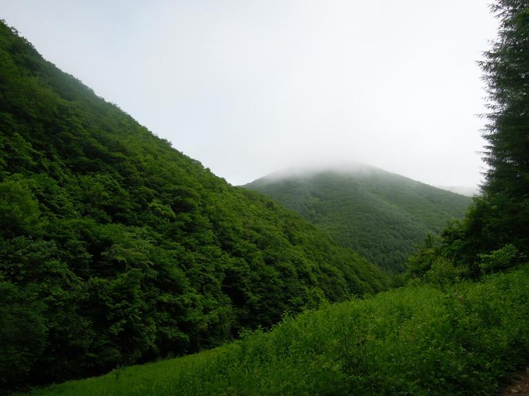 DSCN2049.JPG