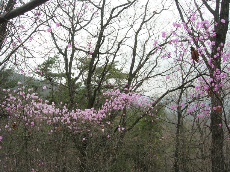 DSCN5822.JPG