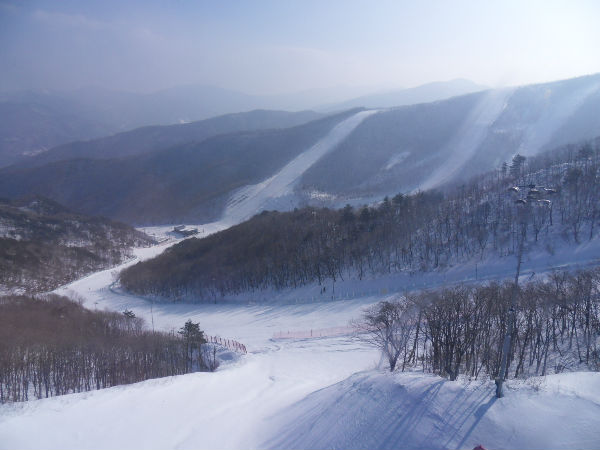SDC12882_copy.jpg