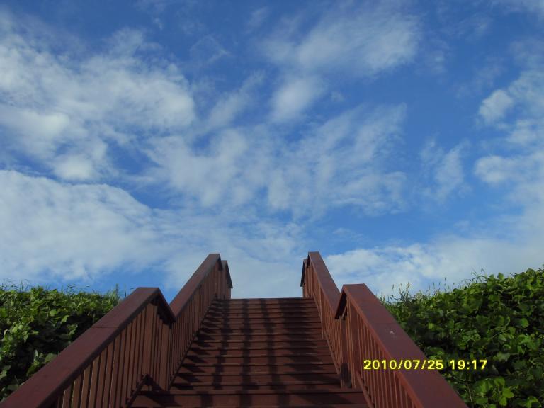 SDC13547.JPG