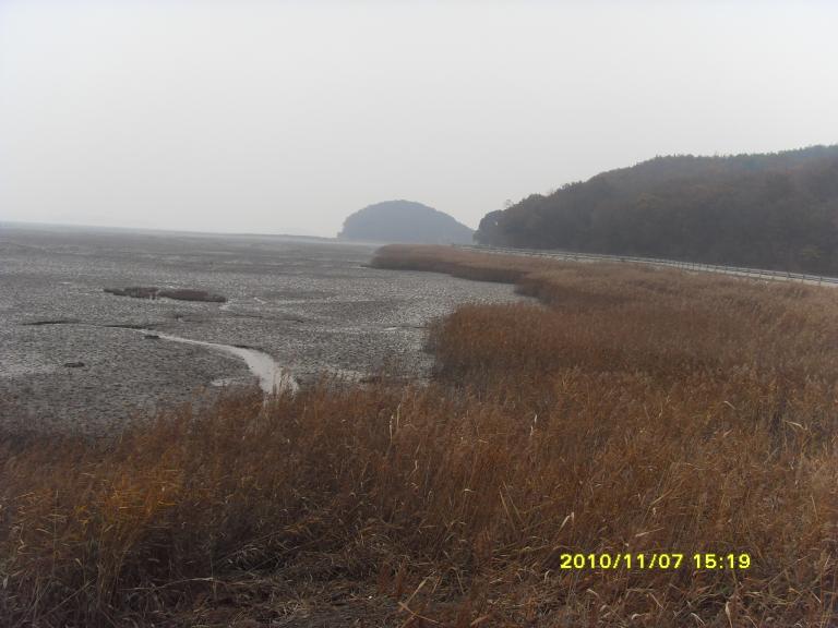 SDC14955.JPG