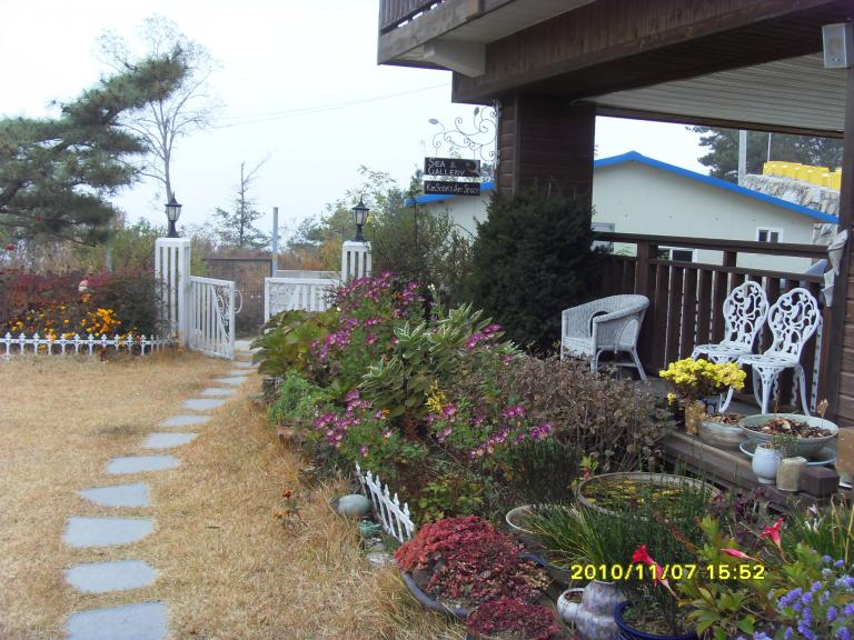 SDC14996.JPG