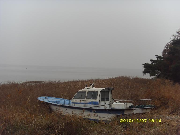 SDC15008.JPG
