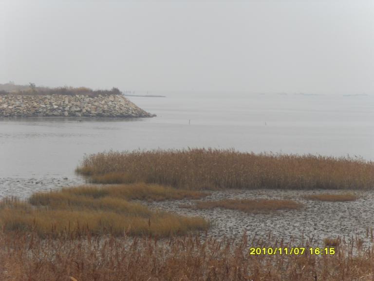 SDC15011.JPG