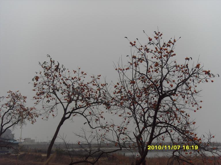 SDC15024.JPG