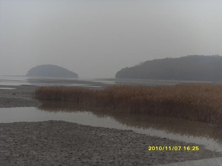 SDC15032.JPG