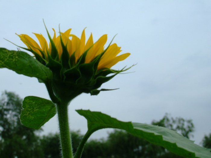 DSCF8069.JPG