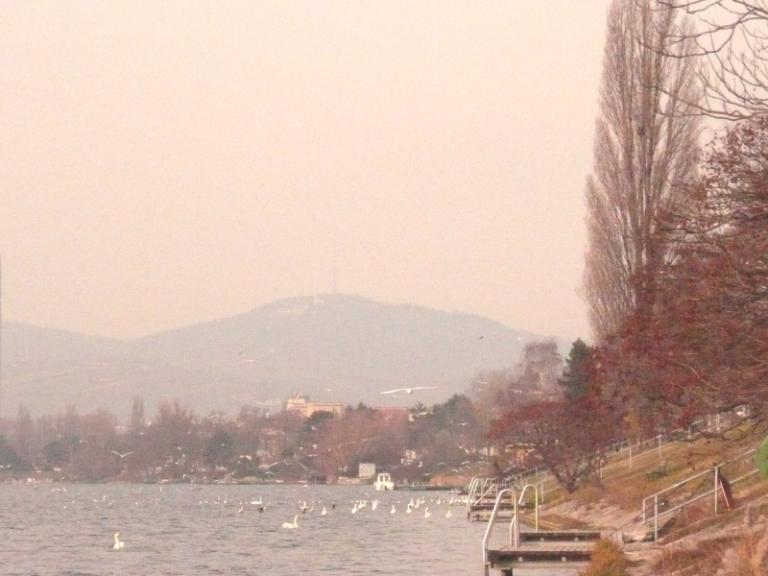 old danube 1.JPG