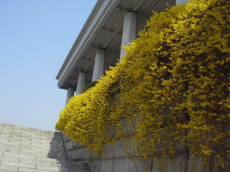 SDC16809.JPG