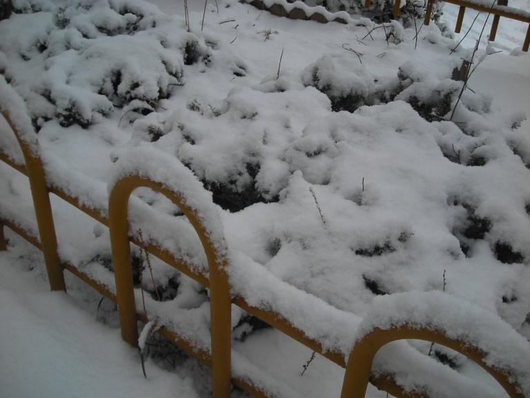 DSCN3925.JPG