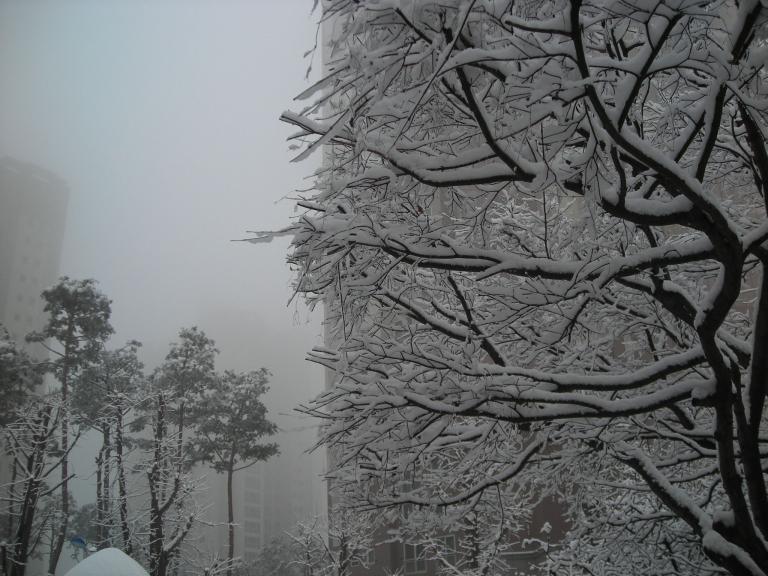 DSCN3926.JPG