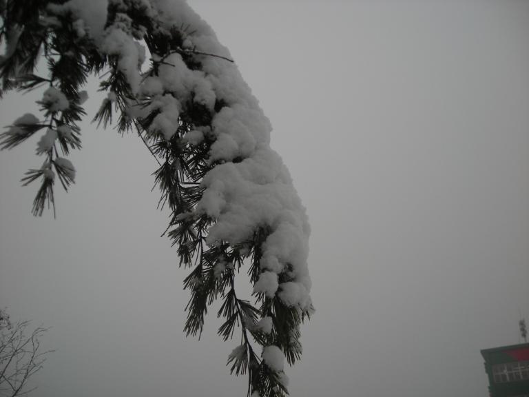 DSCN3942.JPG